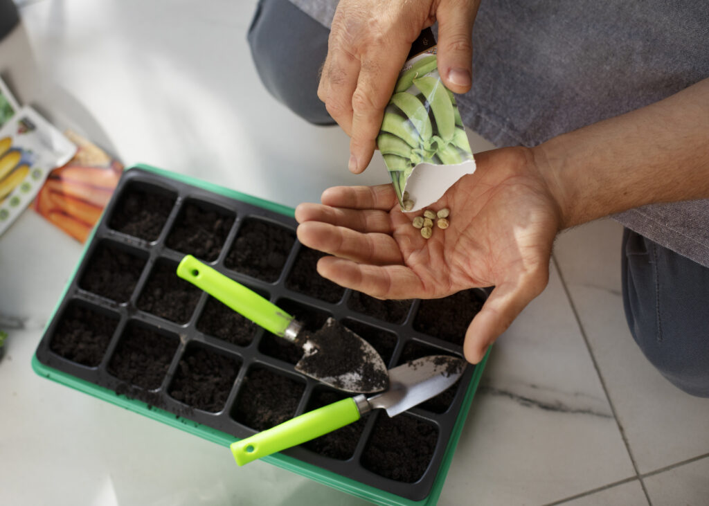 man cultivating farming plants indoor garden